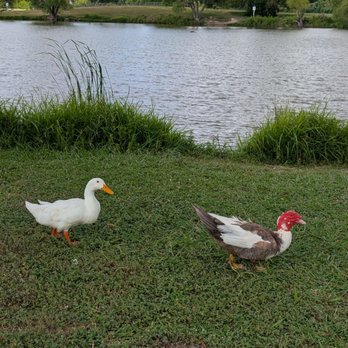 Bradfield Park - Parks Near Me - Buda, Texas Bradfield Park - Parks Near Me - Buda, Texas