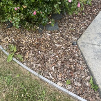 Local Mow Man - More weeds - Lawn Services Near Me Local Mow Man - More weeds - Lawn Services Near Me
