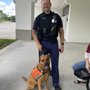 Photo of Sugars Sniffers