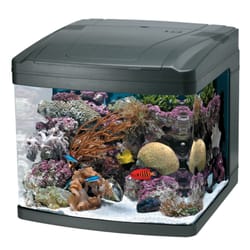 A Tropical Reef - Bio Cubes