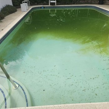 Pool Waters Pro - This is before pics - Pool Cleaners Near Me Pool Waters Pro - This is before pics - Pool Cleaners Near Me