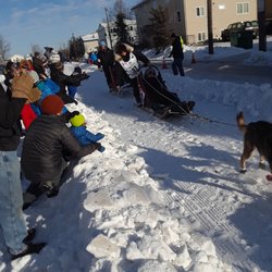 Iditarod Dog Sled Race Memorial - Front row seat at the Iditarod trail sled dog race!