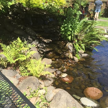 Takoda's - Outside pond - Breakfast & Brunch Near Me - Blue River, Oregon Takoda's - Outside pond - Breakfast & Brunch Near Me - Blue River, Oregon