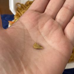 China Express - Found this piece of bone in my Chow Mien