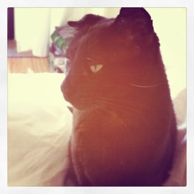 Hope Springs Resort by null