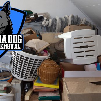 Alpha Dog Junk Removal - Junk Removal & Hauling Near Me - Troy, Virginia Alpha Dog Junk Removal - Junk Removal & Hauling Near Me - Troy, Virginia