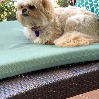Magnolia Veterinary Clinic - Veterinarians Near Me - Delray Beach, Florida