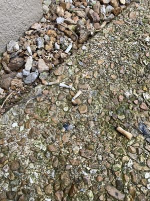 The Lodge of Four Seasons by null