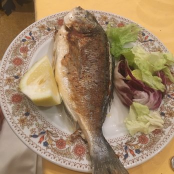 La Taverna Dei Monti - Sea bream - Italian Near Me - Rome, RM La Taverna Dei Monti - Sea bream - Italian Near Me - Rome, RM