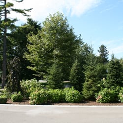 Van Dongen's Garden Centre