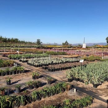 Waterwise Botanicals - Nurseries & Gardening Near Me - Bonsall, California Waterwise Botanicals - Nurseries & Gardening Near Me - Bonsall, California