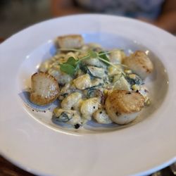Lizzie Keays Kitchen & Cocktails - Scallops