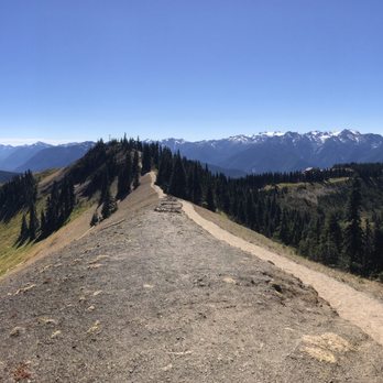 Hurricane Ridge - Parks Near Me - Port Angeles, Washington Hurricane Ridge - Parks Near Me - Port Angeles, Washington