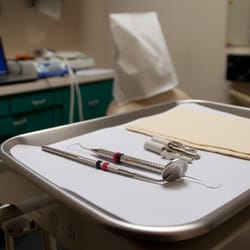 Michael E Gordon, DDS