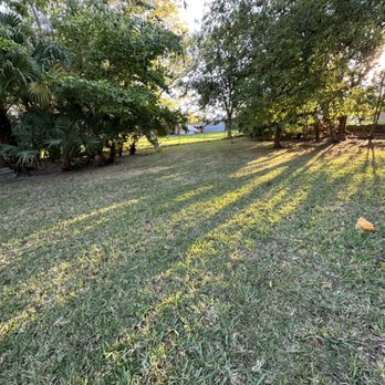 Josean Landscaping - a grassy yard with trees and bushes - Landscaping Near Me Josean Landscaping - a grassy yard with trees and bushes - Landscaping Near Me