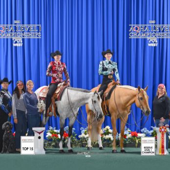 Kb Performance Horses - Pet Training Near Me - Newport Beach, California
