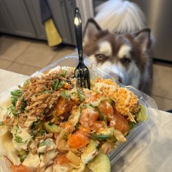 369 Ramen & Poke - Medium Poke Bowl