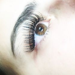 The Lash Factory - Full set of hybrid lashes