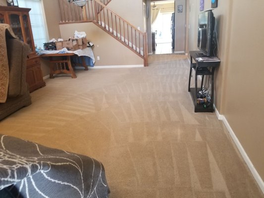 WORLD CLASS CARPET CLEANING - Updated July 2024 - 196 Photos & 473