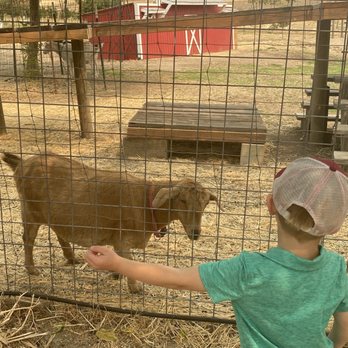 Jack Creek Farms - Goats - Fruits & Veggies Near Me - Templeton, California