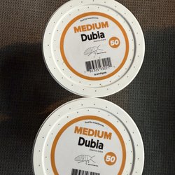 Kahoots Pet Store - Dubia Roaches for reptile feeders
