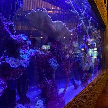 Flanigan's - Davie Tower Shops - Seafood Near Me - Davie, Florida