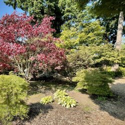 Evergreen Arboretum and Gardens