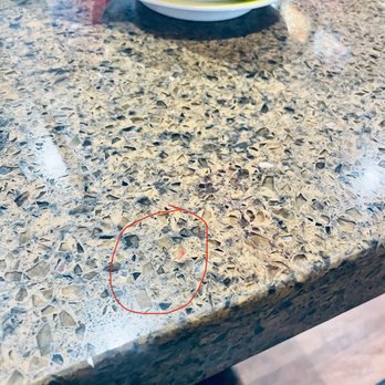 Sushi Choo Choo - Roaches on food plate - Sushi Bars Near Me - Houston, Texas Sushi Choo Choo - Roaches on food plate - Sushi Bars Near Me - Houston, Texas