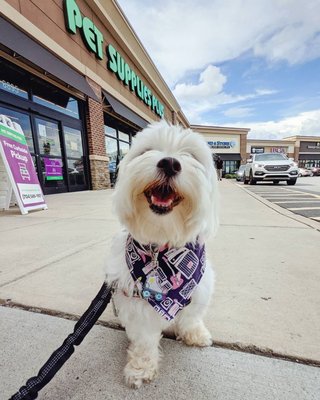 Pet Supplies Plus Columbus