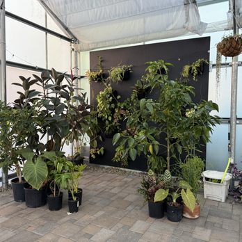 The Houseplant Hub - Houseplant Hub - Interior - Nurseries & Gardening Near Me - Forest Grove, Oregon The Houseplant Hub - Houseplant Hub - Interior - Nurseries & Gardening Near Me - Forest Grove, Oregon
