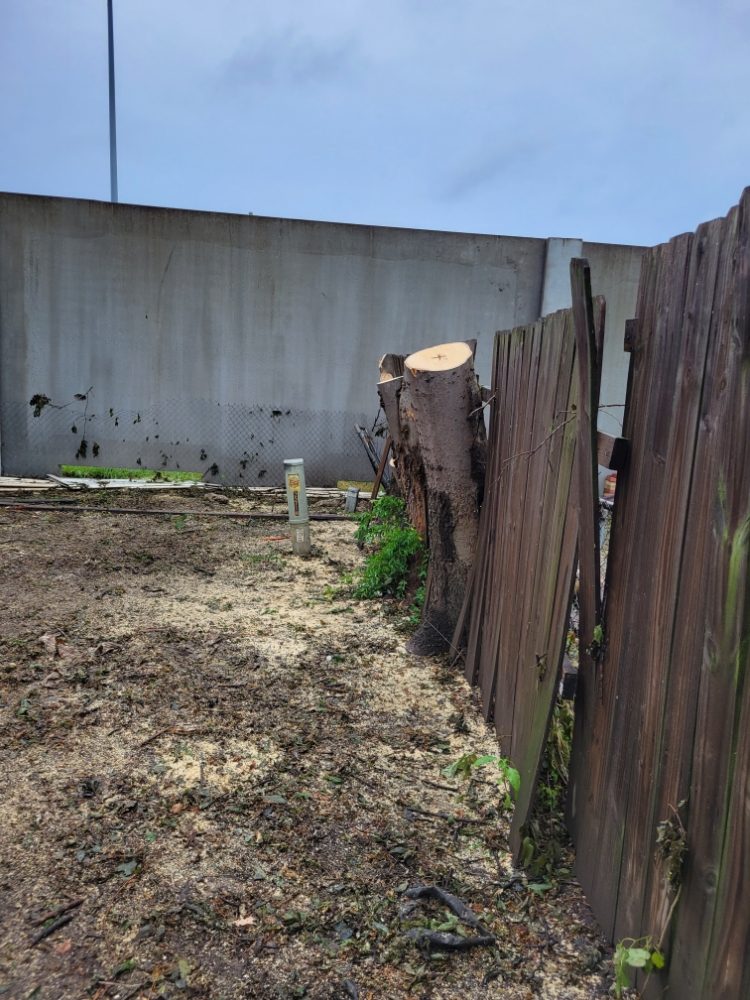 Velazquez Tree Services - tree service in Tulsa, OK