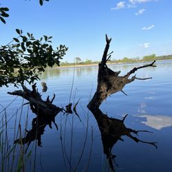 Blackwater National Wildlife Refuge