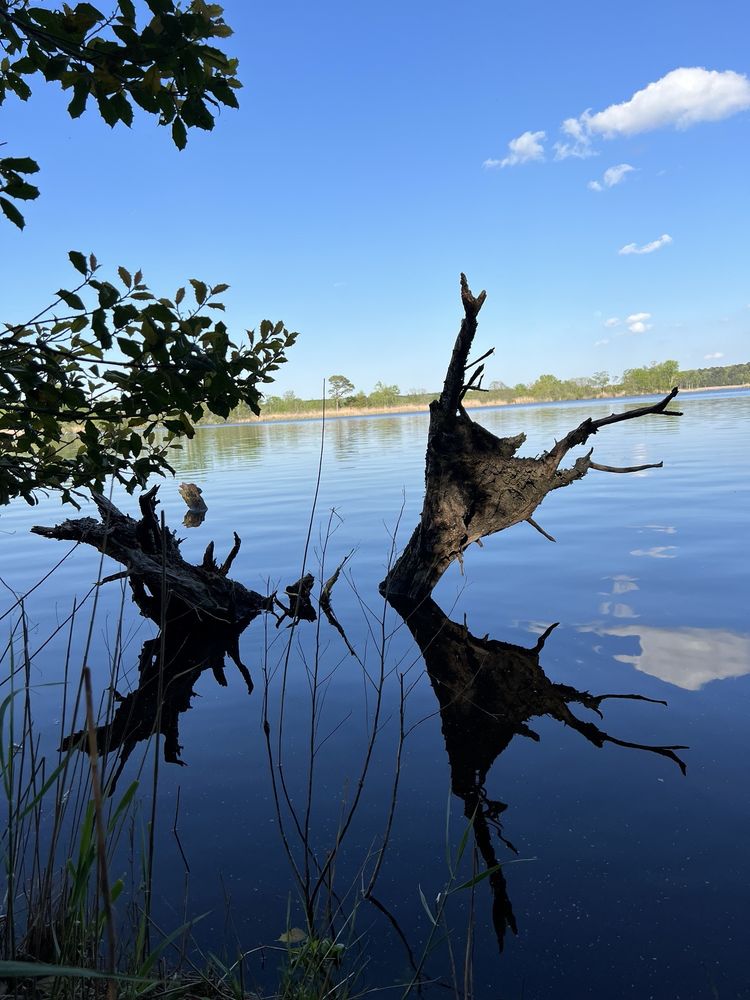 Blackwater National Wildlife Refuge Logo