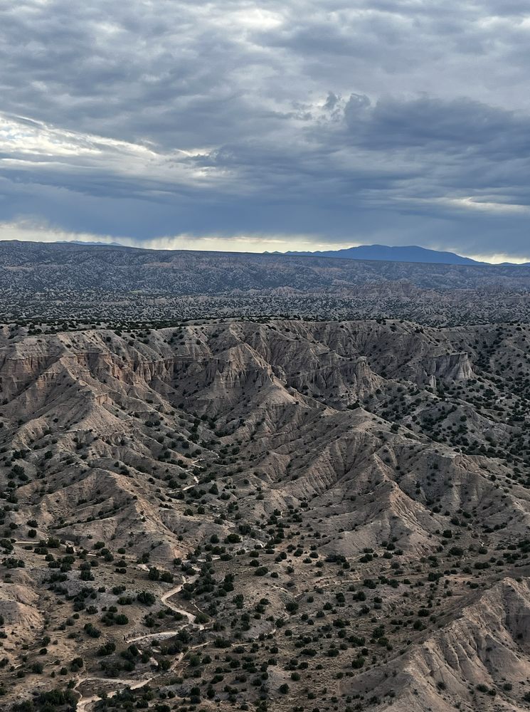 Balloon Above New Mexico Logo