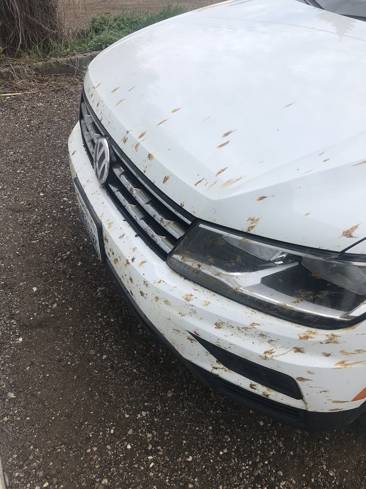 RED CARPET CARWASH Updated September 2024 30 Reviews 2921 N 11th