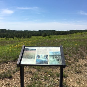 Soldiers Delight - Description of the trees - Hiking Near Me - Owings Mills, Maryland