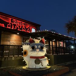 Lucky cat at night