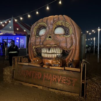 Frosty's Forest Pumpkin Patch - Attraction Farms Near Me - Chino, California Frosty's Forest Pumpkin Patch - Attraction Farms Near Me - Chino, California