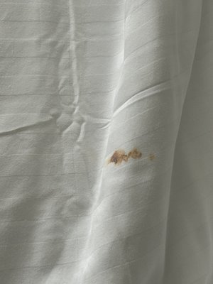 Serene Vegas Boutique Hotel by null