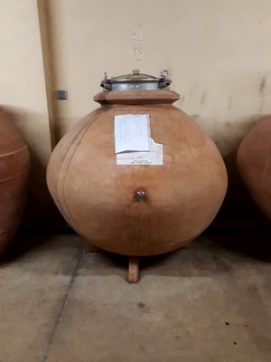 Domaine Jean-François Ganevat by null