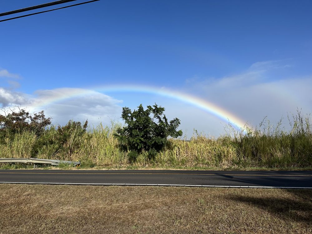 Peace of Maui