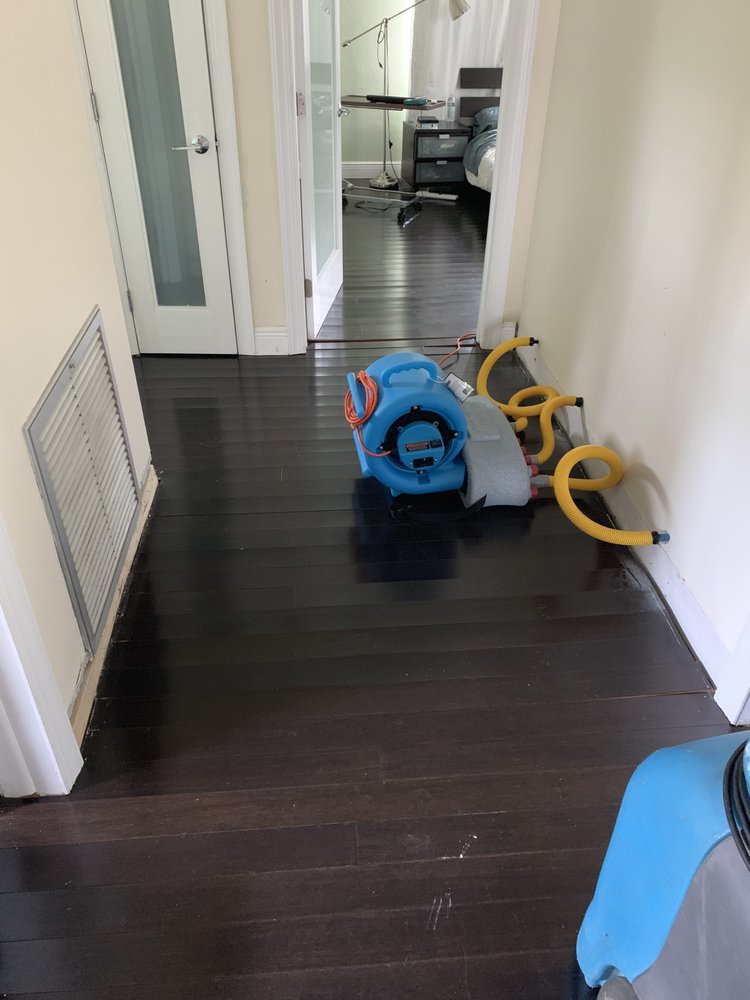 Slide of Moisture Guards