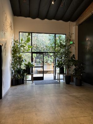 Playa Studios by null