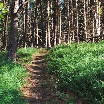 Mountain Laurel Trails - Walking the Trail, 2016 - Mountain Biking Near Me - Ridgeway, Virginia Mountain Laurel Trails - Walking the Trail, 2016 - Mountain Biking Near Me - Ridgeway, Virginia