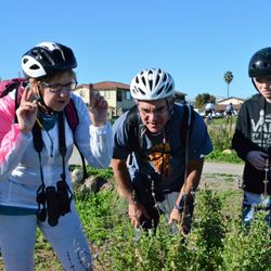 Ocean Connectors Eco Tours - Eco Tour guests examine a native plant on a Birding and Biking Eco Tour.