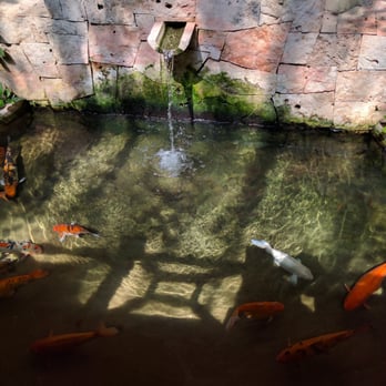 Paradisus - Koi ponds are found through out the hotel! - Hotels Near Me - Cancún, ROO