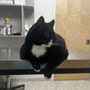 Photo of Pets First Veterinary Center
