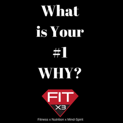 Fit X3