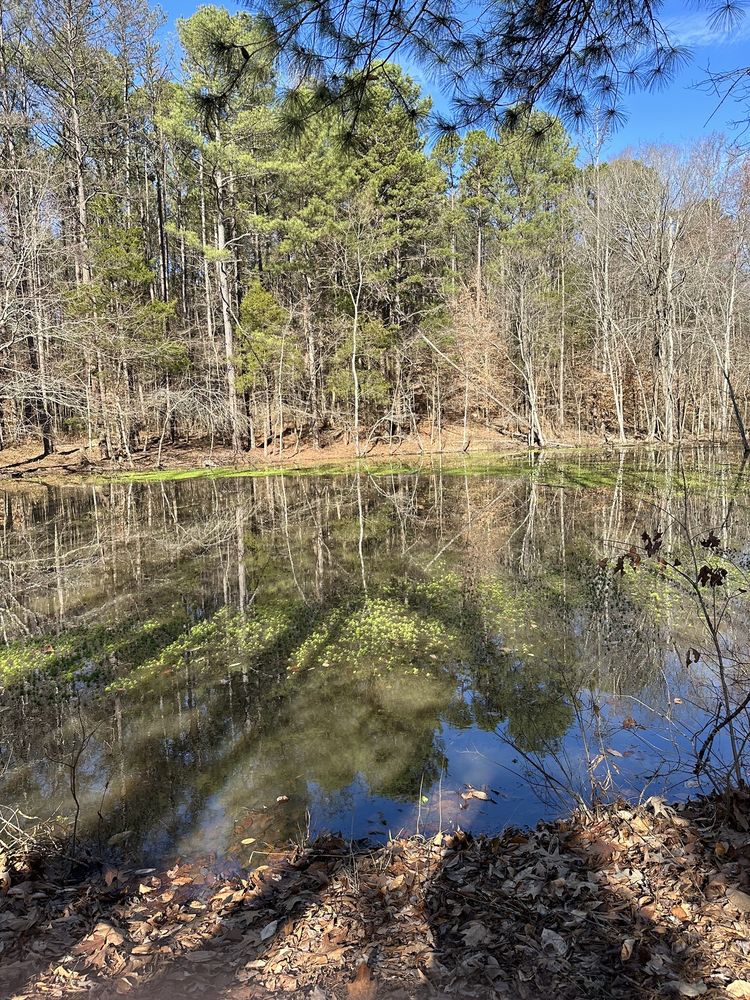 RibbonWalk Nature Preserve