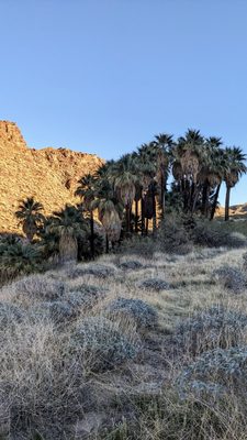 Indian Canyons by null